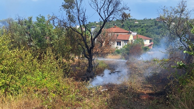 Çınarcık'ta zeytinlik alanda çıkan yangın söndürüldü