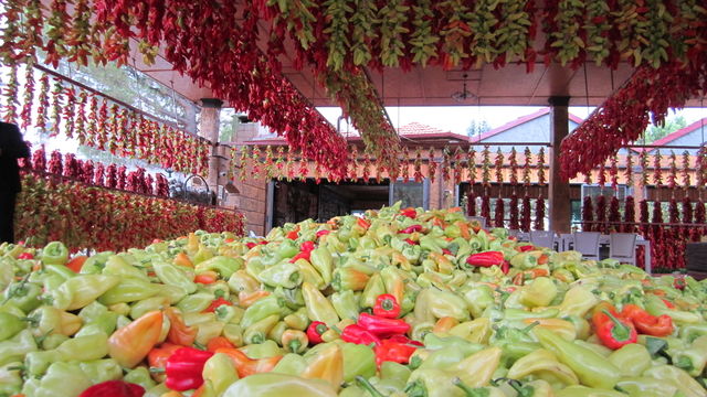 Kışlık için hazırlanan Kale biberi ipe dizilmeye başlandı
