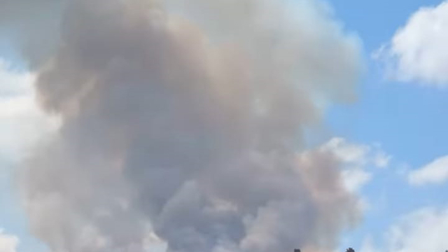 Zonguldak'ta orman yangını