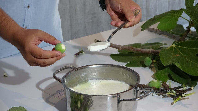 Anadolu'daki 'teleme'nin tarifine 2 bin 750 yıl önce yazılan Homeros'un İlyada Destanı'nda rastlandı