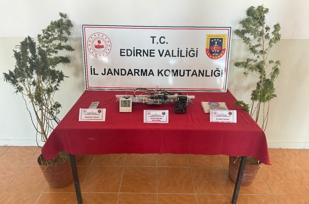 Edirne'de evinde Hint keneviri yetiştiren şüpheli gözaltına alındı