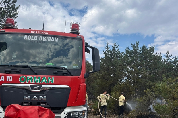 Bolu'da orman yangını 3 saatte kontrol altına alındı