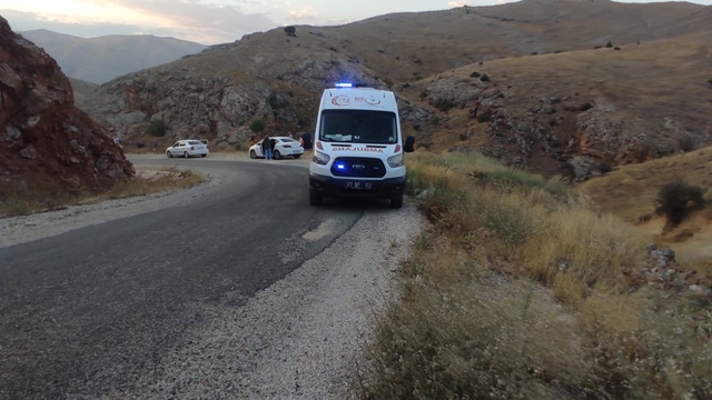 Elazığ'da freni boşalan otomobilden atlayan kadın yaralandı
