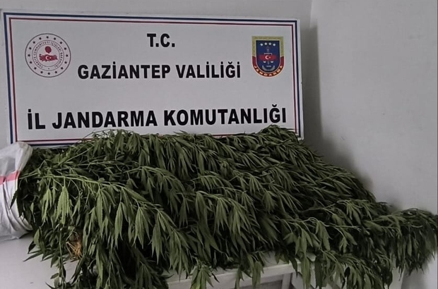 Gaziantep'te uyuşturucu operasyonunda 8 zanlı yakalandı