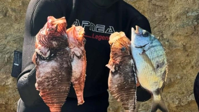 Alkollü sürücünün kullandığı otomobil çarpan eski milli basketbolcu İlkan Karaman öldü