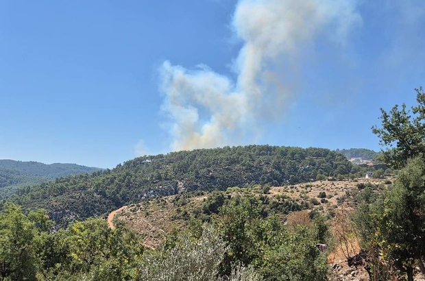 Antalya'nın Kaş ilçesinde orman yangını çıktı