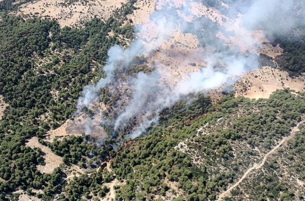 Kaş'ta orman yangını