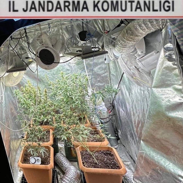 Evine iklimlendirme sistemi kurup kenevir yetiştiren şüpheli yakalandı