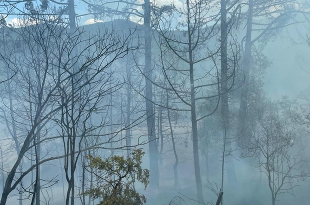 Bolu Göynük’te orman yangını (2)