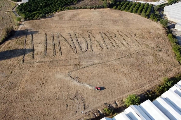 Hayranı olduğu Funda Arar'ın adını, traktörle tarlasına yazdı