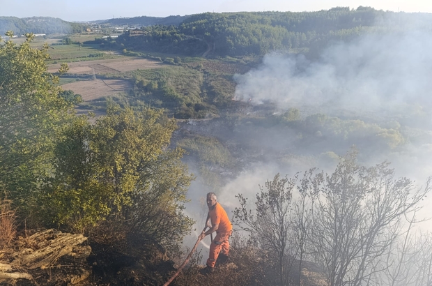 Antalya'da ormanlık alanda çıkan yangına müdahale ediliyor