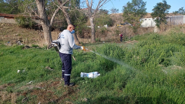 Edirne'den kısa kısa