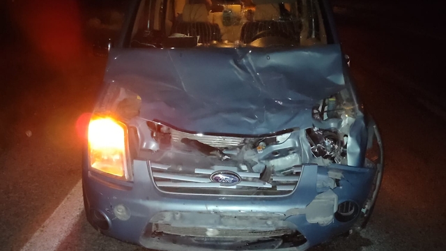 Afyonkarahisar'da sahipsiz eşeklere çarpan hafif ticari araçtaki 2 kişi yaralandı
