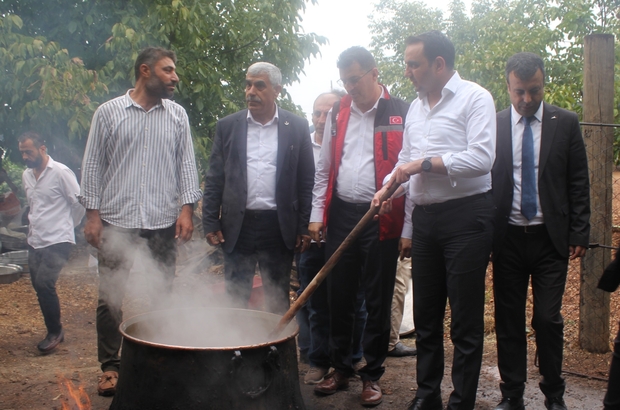 Şanlıurfa'da "Ovacık bağ bozumu ve şire festivali"