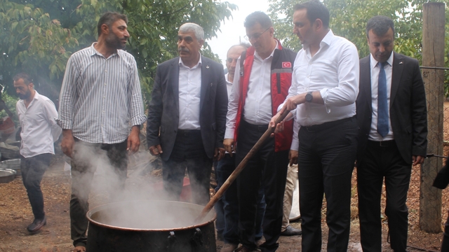 Şanlıurfa'da "Ovacık bağ bozumu ve şire festivali"