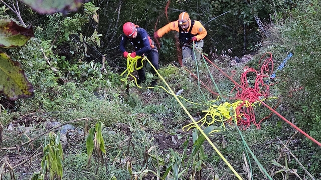Artvin'de otomobilin uçuruma yuvarlandığı kazada 1 kişi öldü
