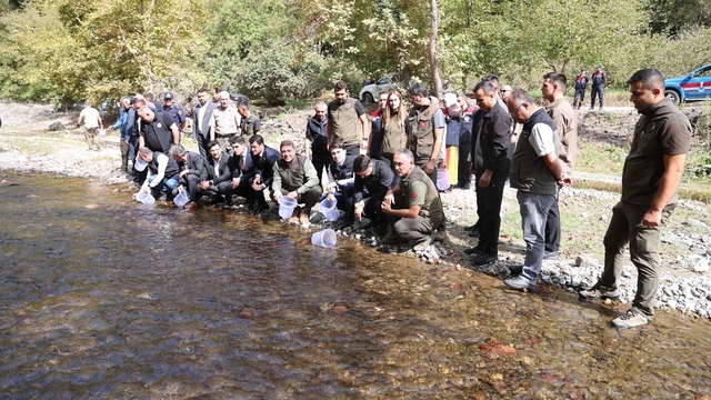 Düzce'de derelere 15 bin alabalık yavrusu bırakıldı