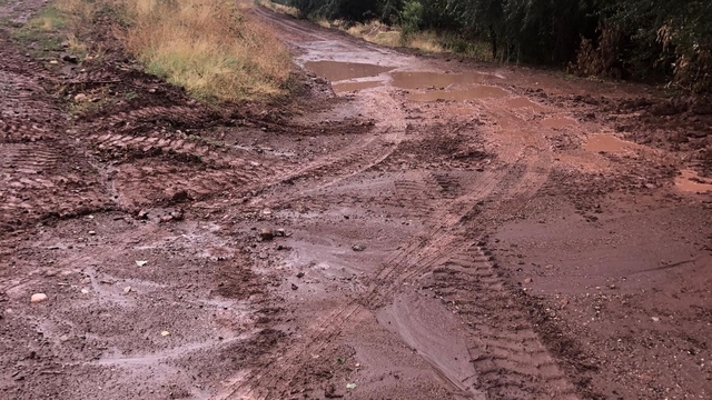 Ahlat'ta sağanak sele neden oldu