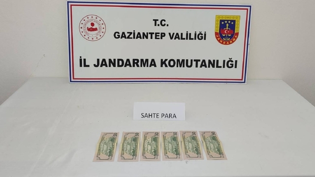 Gaziantep'te piyasaya sahte dolar sürmek isteyen şüpheli yakalandı
