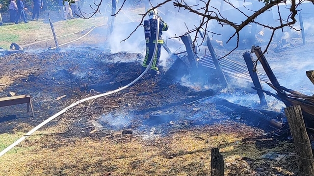 Babadağ'da ahır yangınında 85 küçükbaş hayvan telef oldu
