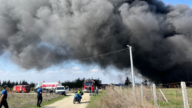 Tekirdağ'da fabrikada çıkan yangına müdahale ediliyor