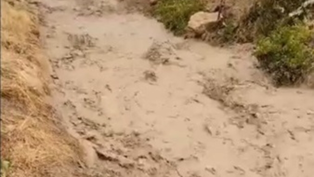Elazığ'da sağanak ve dolu kayısı bahçelerire zarar verdi