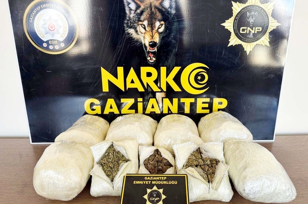 Otomobilde 5 kilo skunk ele geçirildi; 2 gözaltı