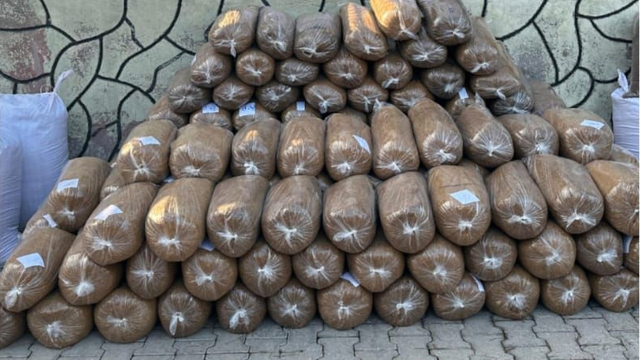Osmaniye'de durdurulan 3 araçta 1300 kilogram kaçak tütün ele geçirildi