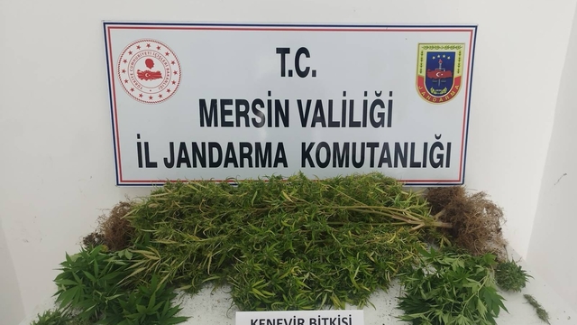 Mersin'de uyuşturucu operasyonunda 4 zanlı yakalandı