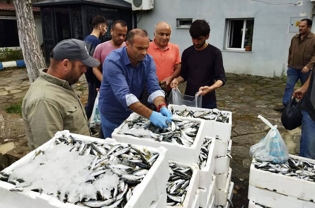 Sinop'ta kaçak yolla avlandığı belirlenen balıklar vatandaşlara ücretsiz dağıtıldı