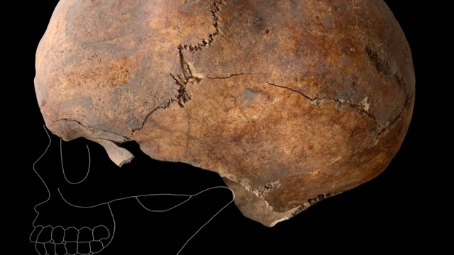 Galeri