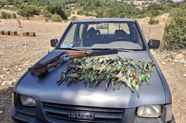 Koruma altındaki 45 arı kuşunu tüfekle öldürdüler