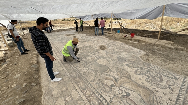 Elazığ'da tesadüfen bulunan tarihi mozaikte hayvan figürlerinin resmedildiği tespit edildi
