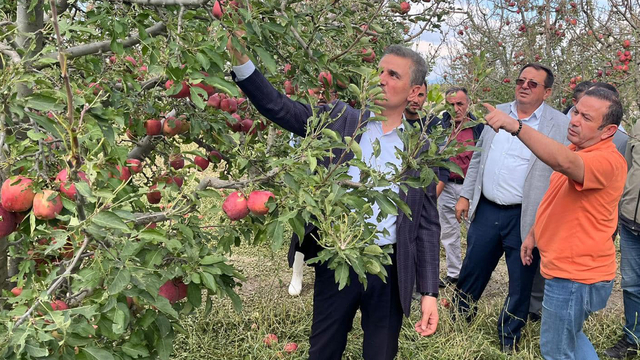 Isparta'da dolunun vurduğu elma bahçelerinde hasar tespiti