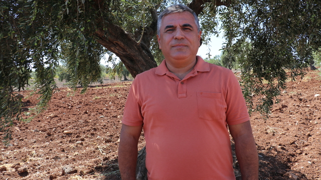 Zeytin hasadında geç kalınmaması uyarısı