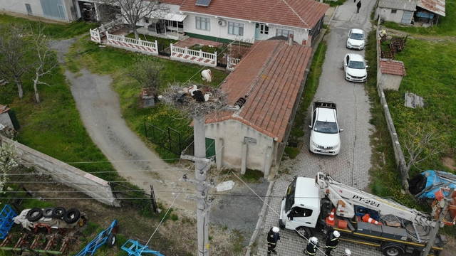 Galeri