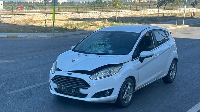 Adana'da otomobilin çarptığı yaya hayatını kaybetti