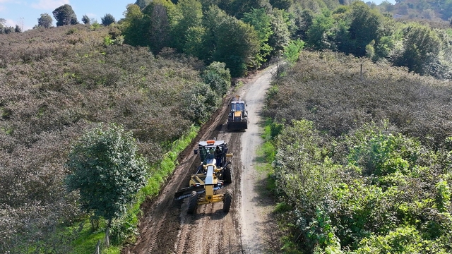 Terme Belediyesi, bağlantı yolu asfalt hazırlık çalışmalarını sürdürüyor