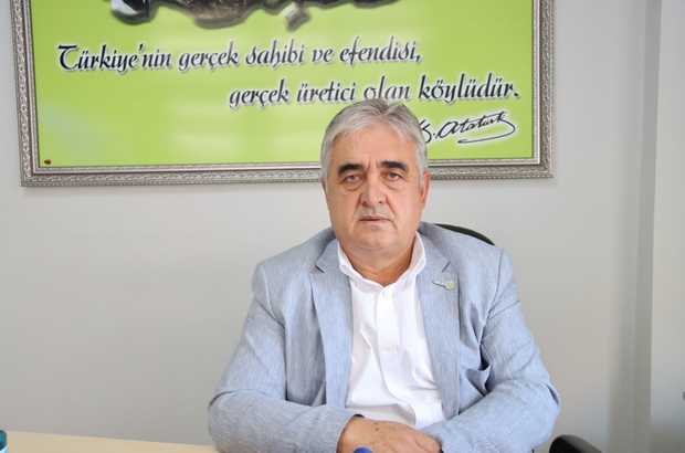 Trakya'da aşırı sıcak ve kuraklık, ayçiçeğinde verimi düşürdü