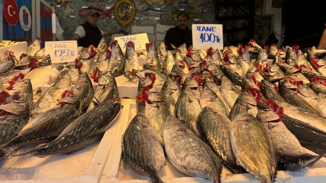 Trabzon'da palamut irileşti, fiyat arttı