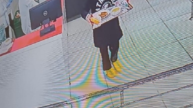 Van'da üniversiteli Rojin'den haber alınamıyor