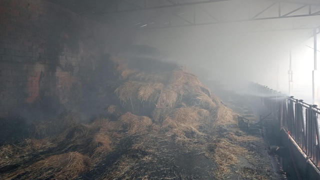 Burdur'da çıkan yangında 250 saman balyası zarar gördü