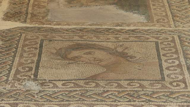 Galeri