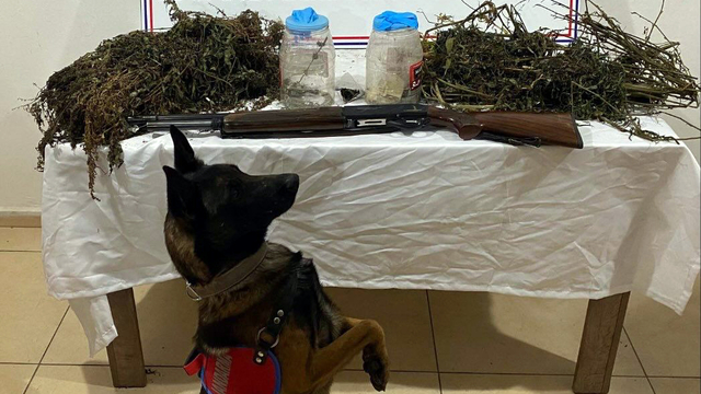 Bitlis'te 3 kilo 960 gram kubar esrar ele geçirildi; 1 tutuklama