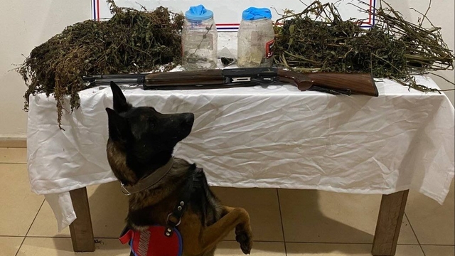 Bitlis'te 3 kilo 960 gram esrar ele geçirildi