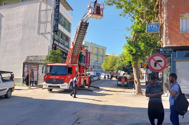 Adana'da ağaçta mahsur kalan kediyi itfaiye ekibi kurtardı