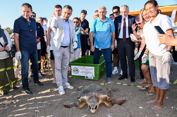 Yaralı 2 caretta carettal tedavi ve rehabilitasyon sonrası denize bırakıldı