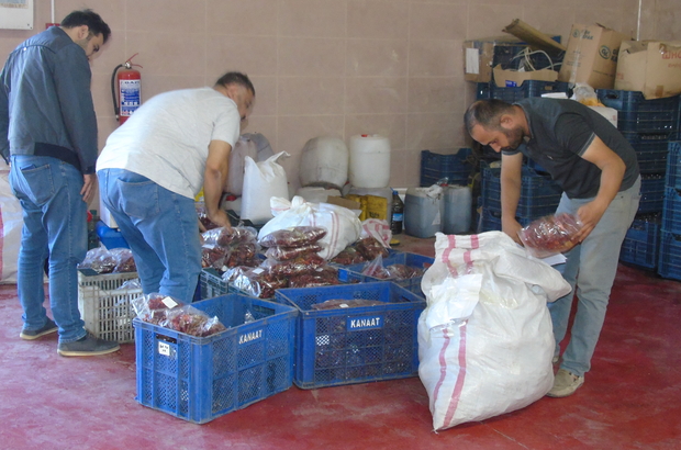 Gaziantep'te belediyeler üreticiye destek için biber alımına başladı 