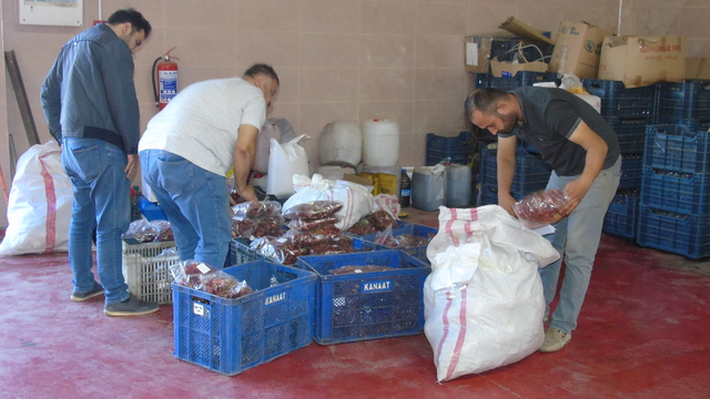 Gaziantep'te belediyeler üreticiye destek için biber alımına başladı