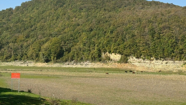 Galeri